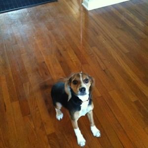 Meet your Posher, Kathy